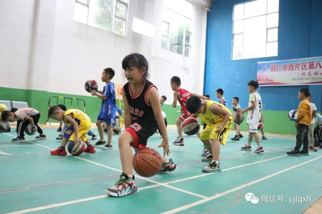 如何借助专业篮球教练提升个人声誉_1